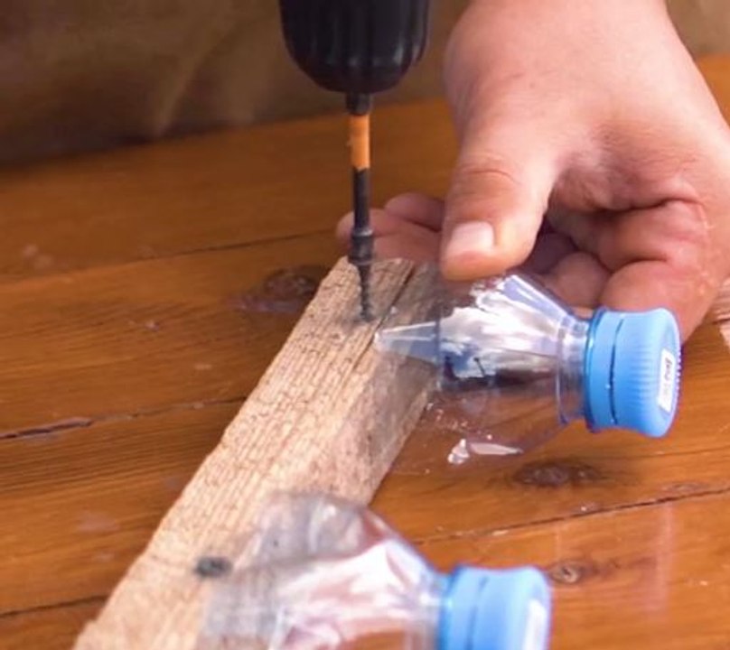 Grow Smart! DIYs for a Greener Garden