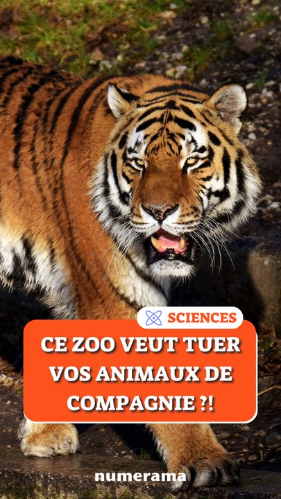 Ce zoo veut TUER vos animaux de compagnie ?