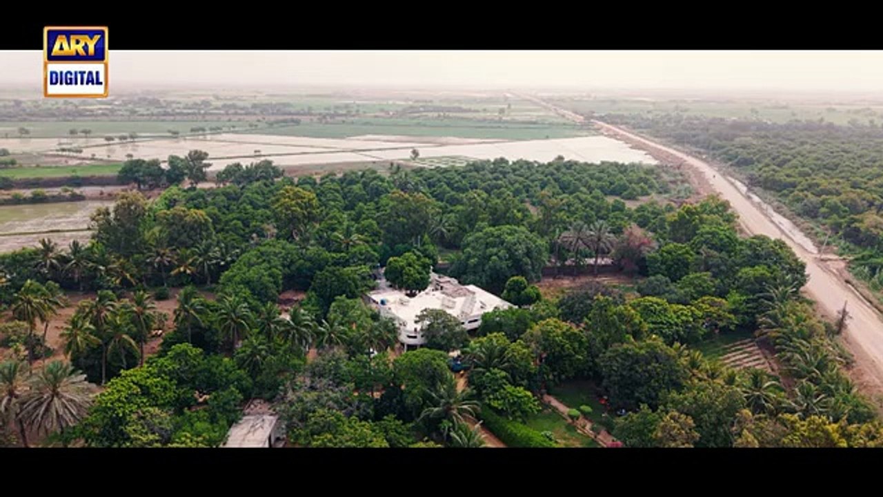 Teaser 5 _ Biryani _ Ramsha Khan _ Khushhal Khan _ Coming Soon _ ARY Digital