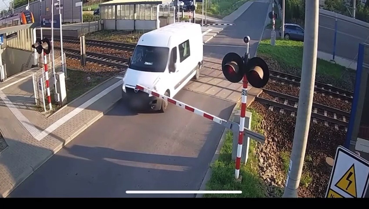 The Fatal Choice at the Crossing: Fear or Survival