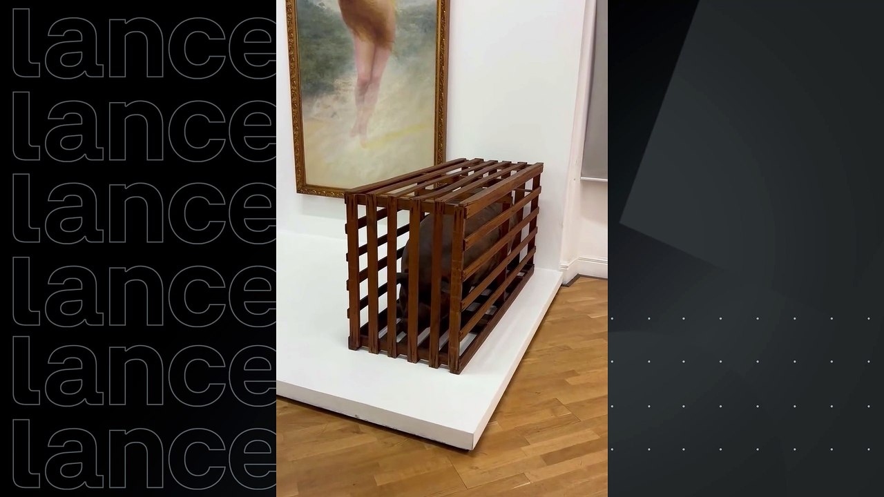 Memphis publica vídeo com provocação ao Palmeiras após vitória do Corinthians