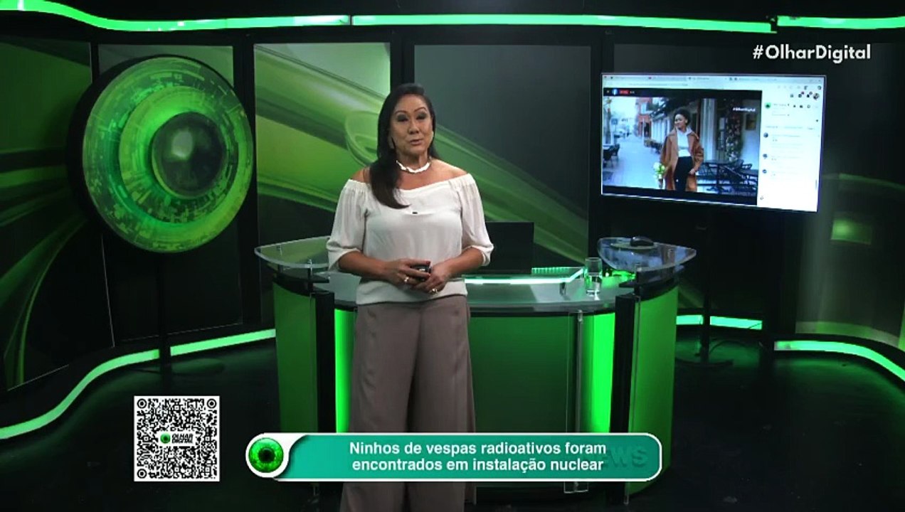 Ninhos de vespas radioativos foram encontrados em instalação nuclear