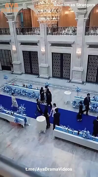 Reunion as Strangers Chinese Drama - English Sub