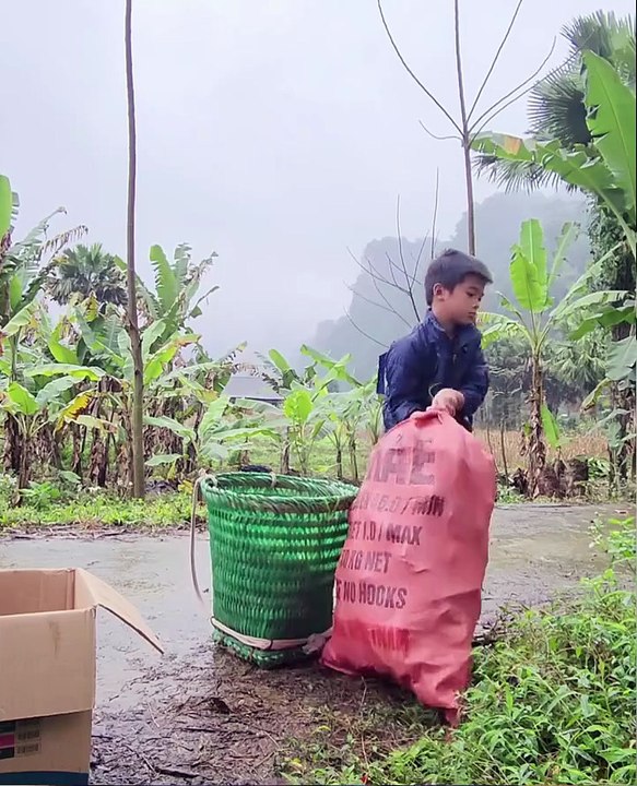 "Brave Poor Boy Rescues Helpless Orphan Baby | Heart-Touching Real Story"