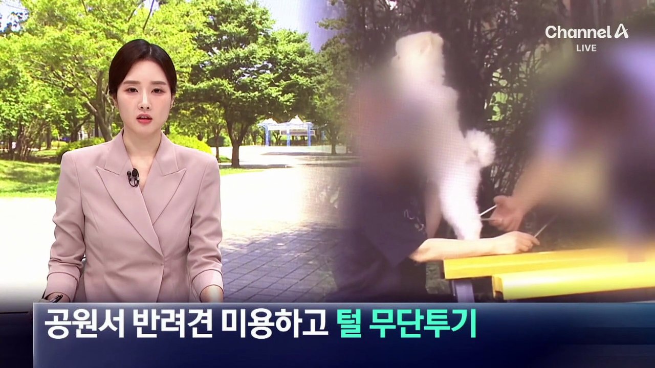 공원서 반려견 미용하고 털 무단투기
