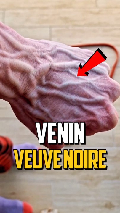 COMBIEN DE VENIN DE VEUVE NOIRE ? 💀