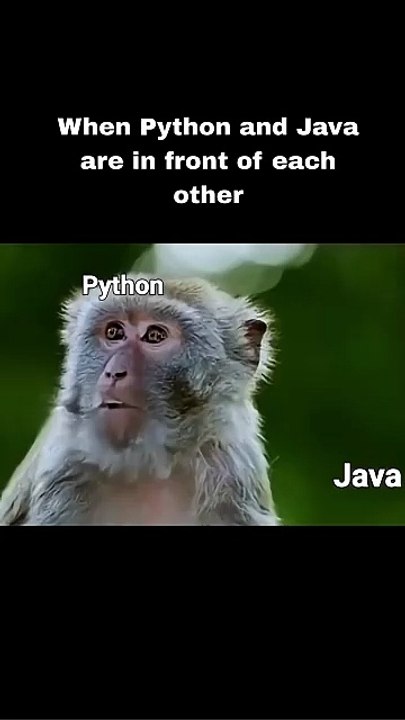 'When Python Meets Java😎⚔️#csvision #memes #javaprogramming #python #coding #funny