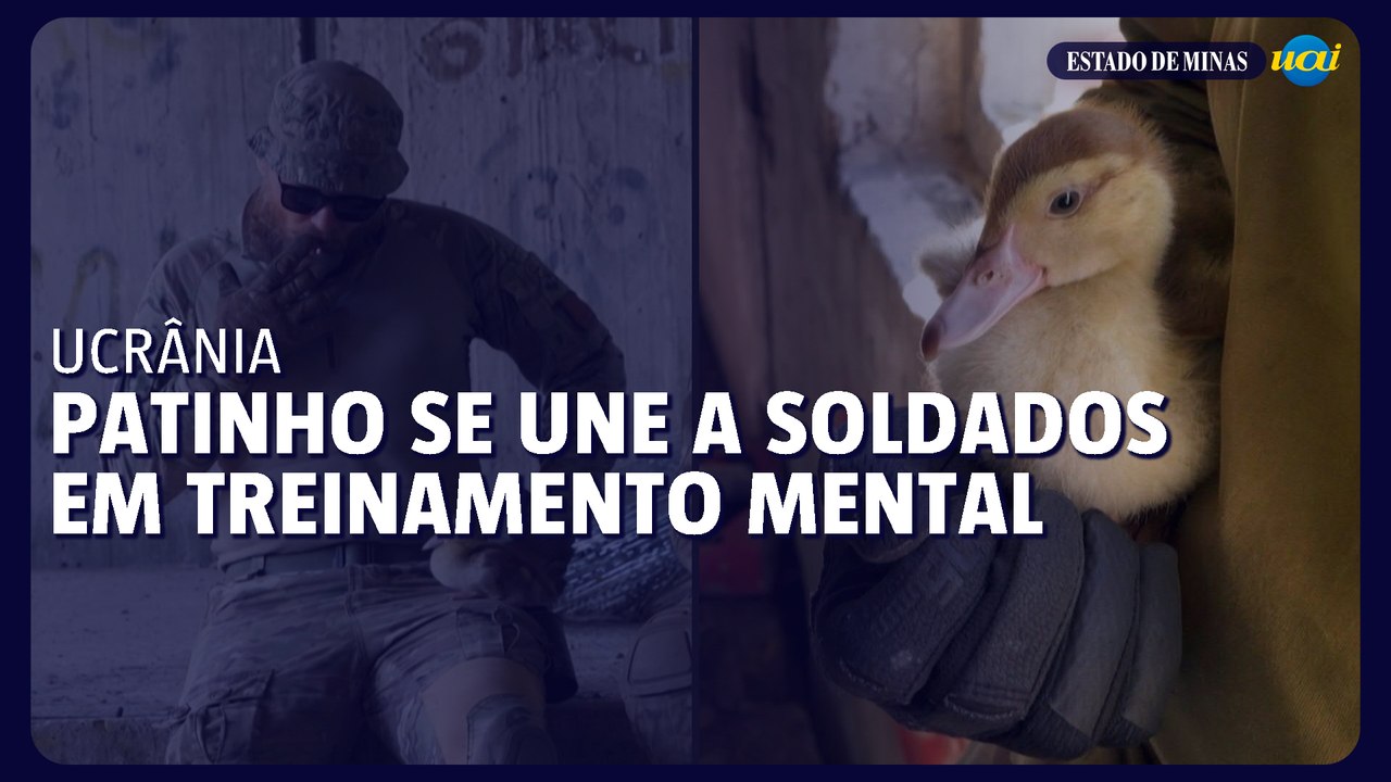 Patinho se une a soldados ucranianos em treinamento de resiliência mental