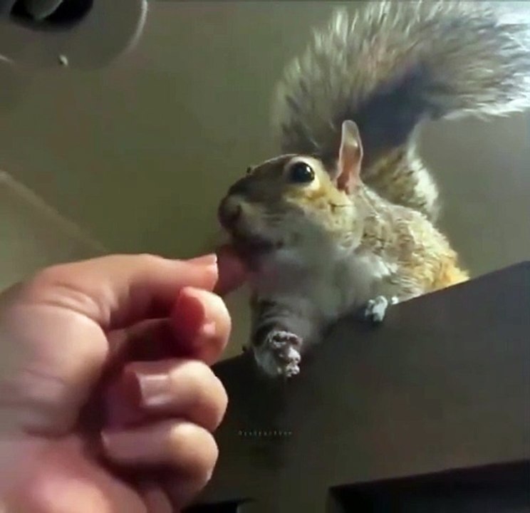 Bro felt this feeling for the first time.