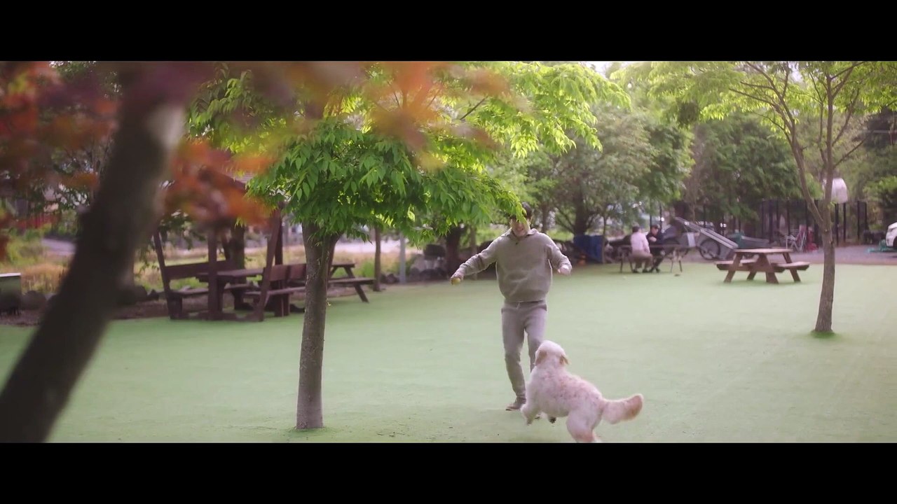 夢想成為律師的律師們 第2集 線上看