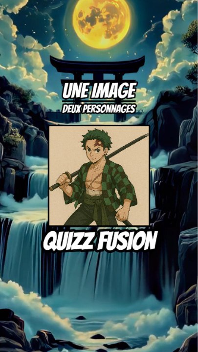 Quizz Fusion - Une image, Deux personnages !