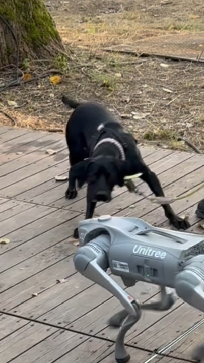 Dans les coulisses du Cabaret Vert avec Booba, SDM, La Mano, VEN1, Genezio… 🤯Vidéo disponible sur YouTube !