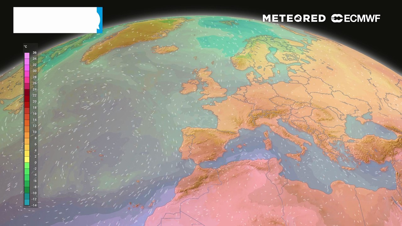 Die Wärme kommt bald wieder! Sie liegt auf der Lauer!