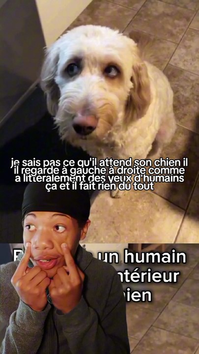 Regardez ses yeux mdrr