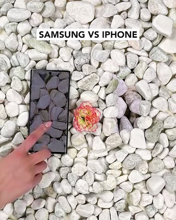 The difference between a samsung and iphone camera