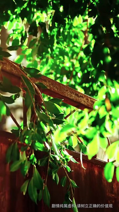 段美洋＆宋彧佳 - 【蓄谋上位】 (上篇)