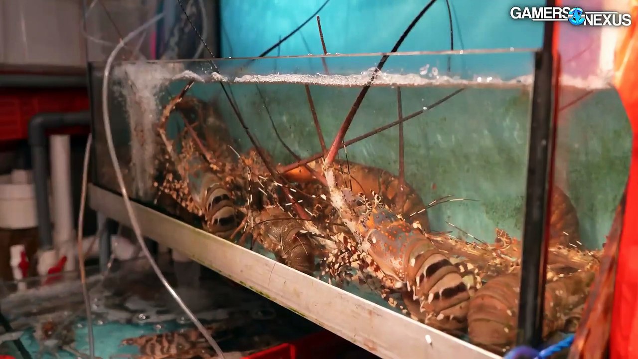 Gamer's Nexus THE NVIDIA AI GPU BLACK MARKET  1 of 3 '; Investigating Smuggling, Corruption, & Governments