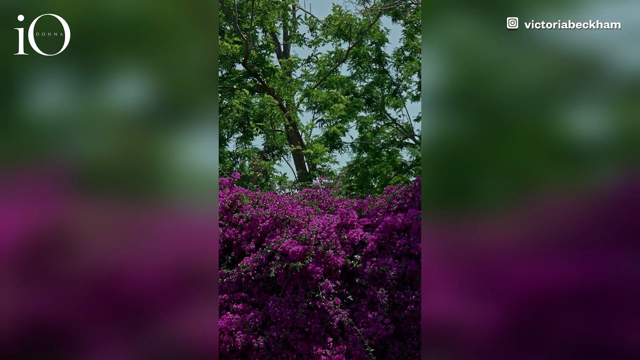 La nuova borsa di Victoria Beckham "forgiata" tra mare e vulcano celebra l'artigianato siciliano