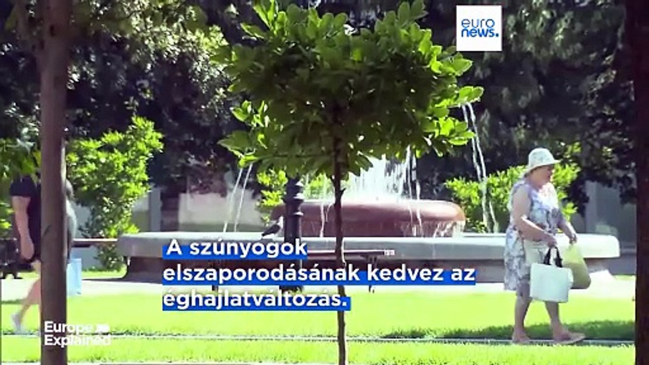 Rekordmennyiségű szúnyogok által terjesztett betegség leselkedik az európaiakra idén