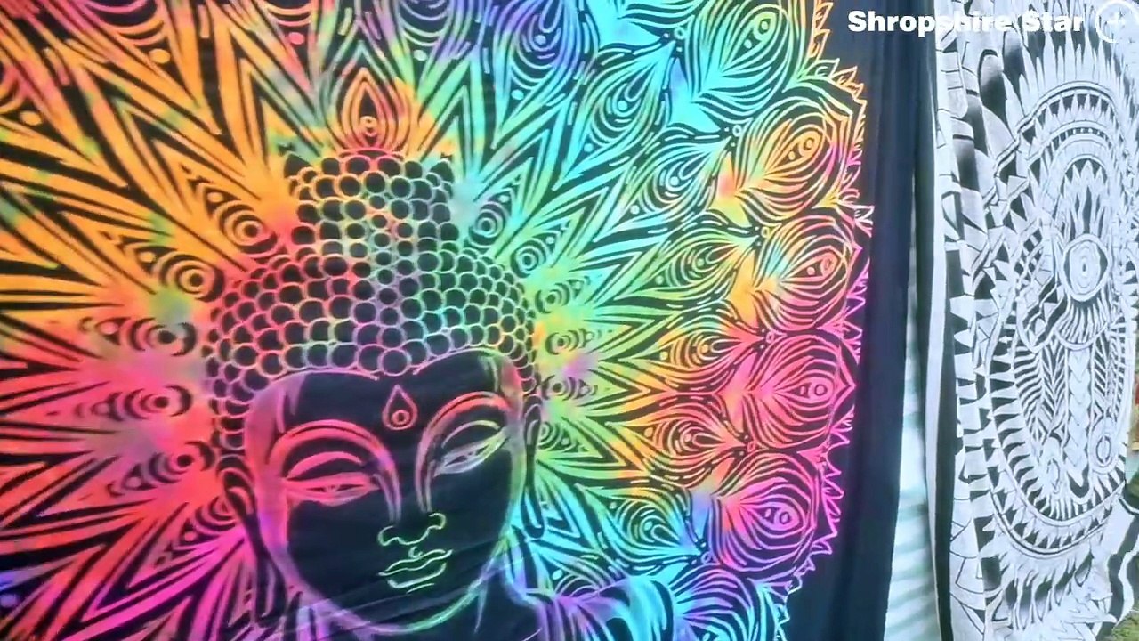 Shrewsbury Folk Festival 2025