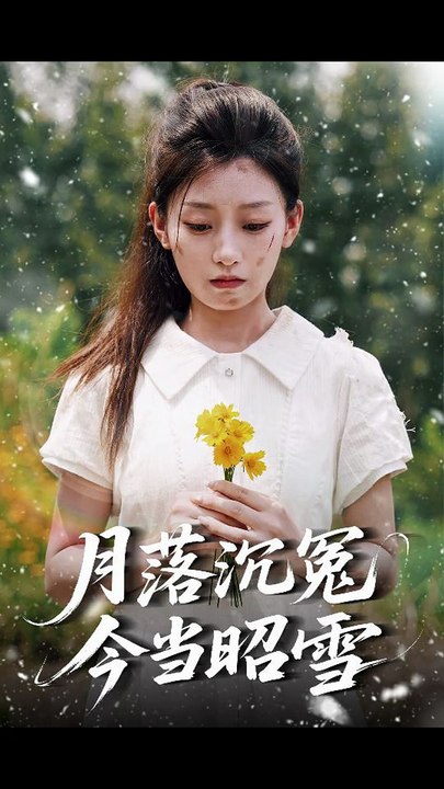 【短剧合集】 月落沉冤今当昭雪