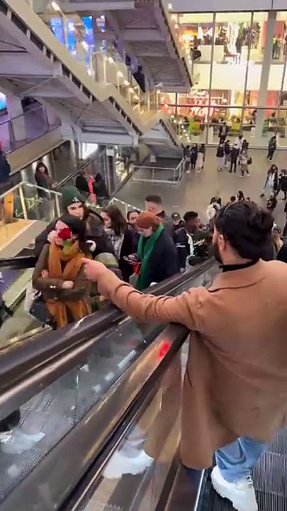 When no one accepts a beautiful rose 🥀💔