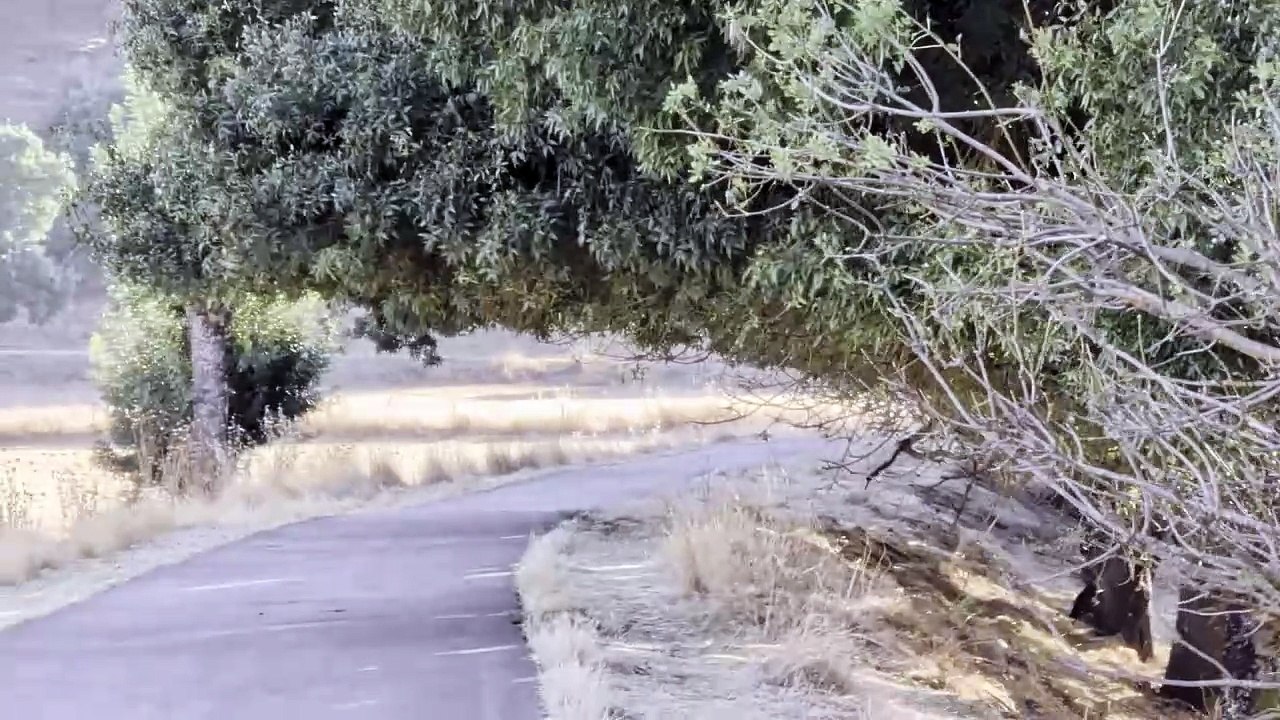 Vídeo Pixel 10 - Telefoto Estabilización