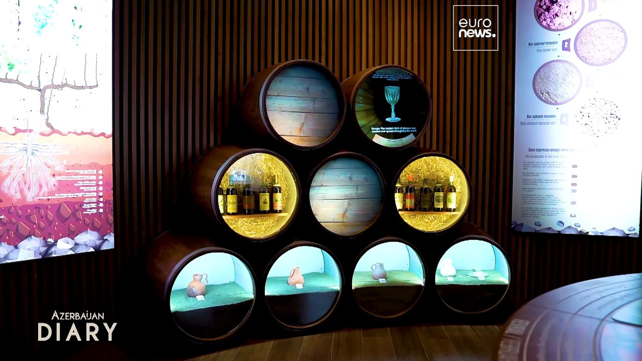 Как Саваланская долина превращает Азербайджан в центр винного туризма