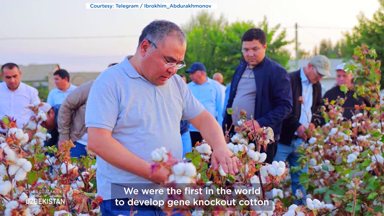 Meet the Uzbek scientist pioneering genetic breakthroughs in cotton, wheat and global food security