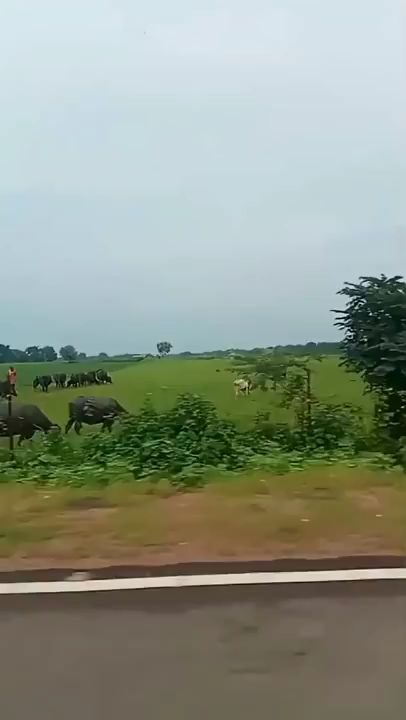 Teri awaaz Hai hawaon mein #song #viral