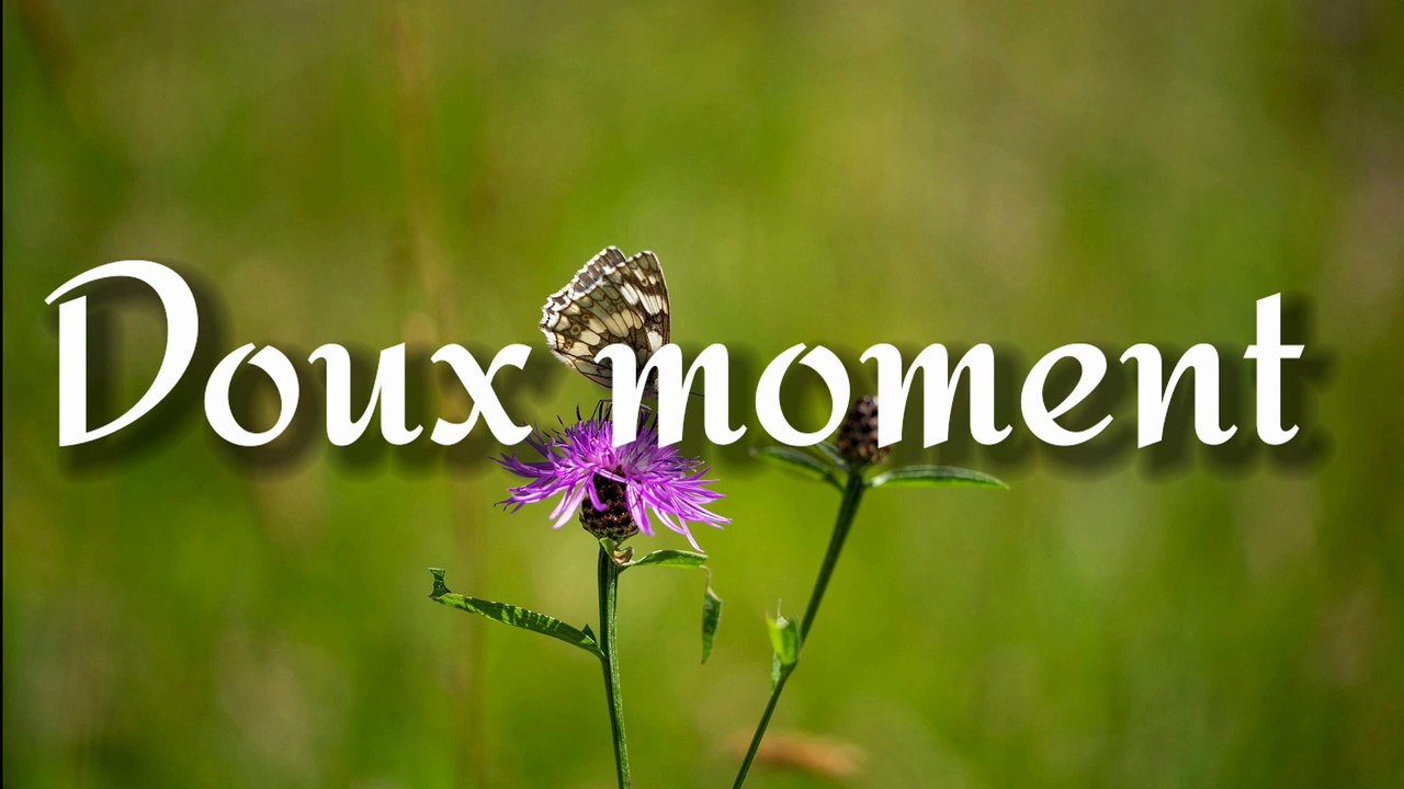 Instrumental  Relaxation _piano instrumental