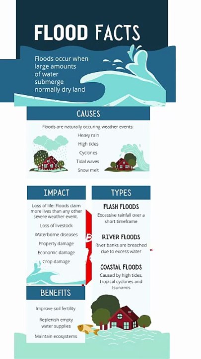 Cause of Flood 2025 Explained | Main Reasons Behind Floods