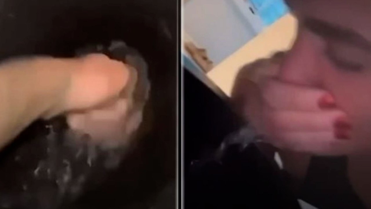 Reece Walsh, la estrella del rugby que bebe agua del váter para recuperar sus músculos