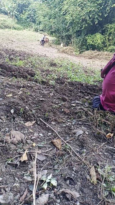 Hills view #hillslifestyle #hills