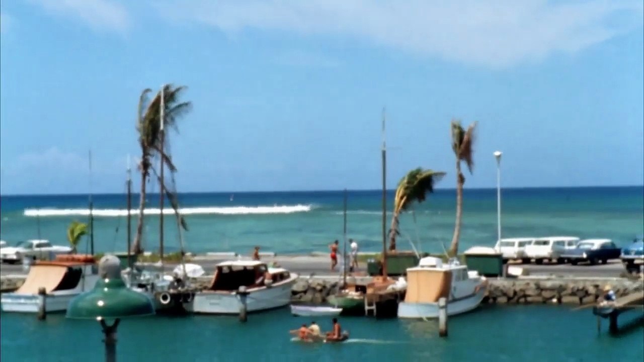 The Endless Summer - 1966