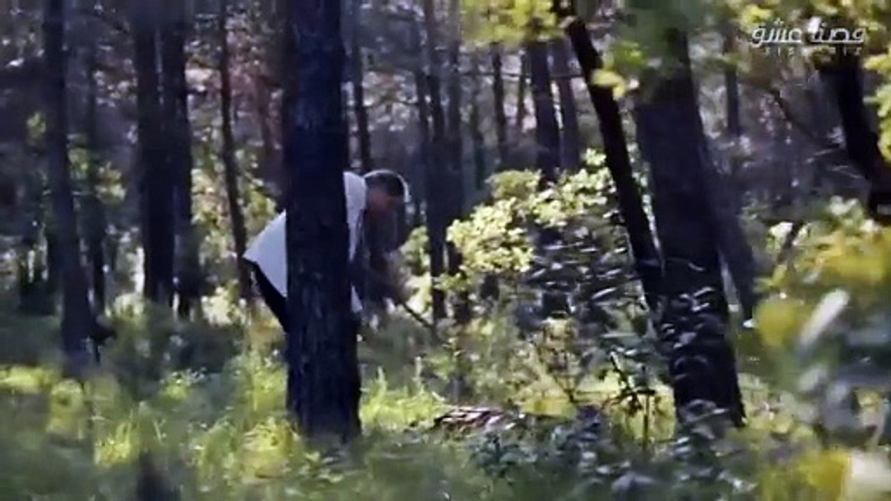 مسلسل المنظمة الحلقة 144 مترجمة