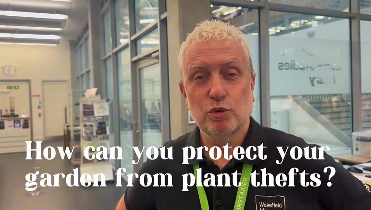 How to protect your garden from plant thefts?