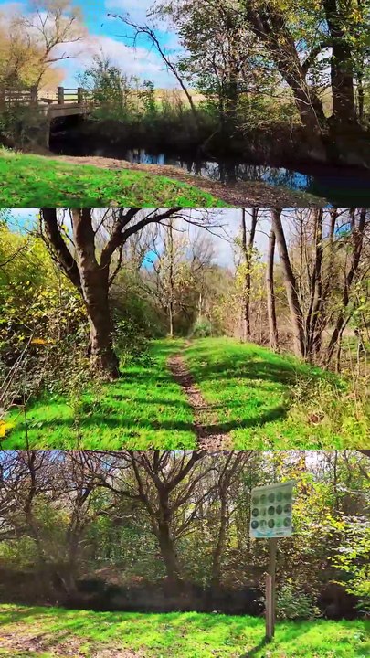 ANIVERSARIO CURA MALAL