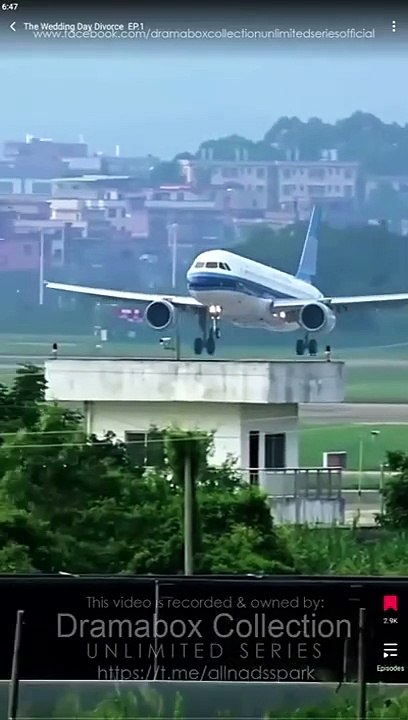 The Wedding Day Divorce