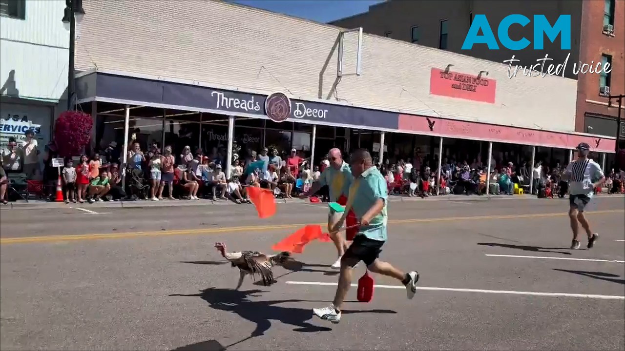 Victorious turkey ‘Paycheck’ wins the Great Gobble Gallop