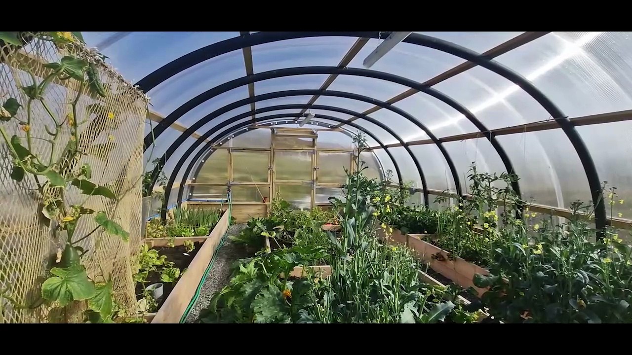 The Polycrubs bringing better quality of life to thousands