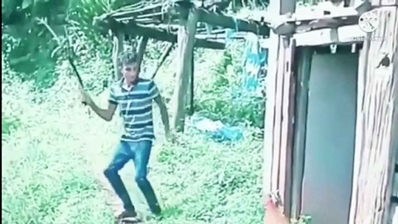 hewan hewan lucu dan menggemaskan