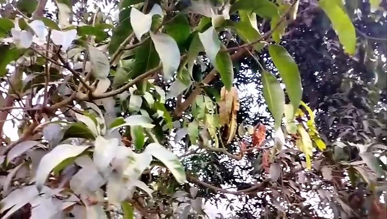 বাংলা চটি গল্প বাবা ধীরে ধীরে শব্দ হচ্ছে সমসসা হয়ে যাবে bangla choti golp