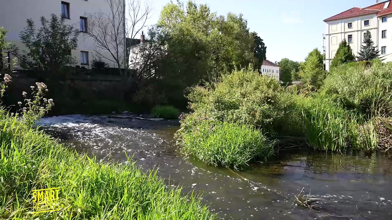 Infrastruktura przeciwpowodziowa w Niemczech: czy można przewidzieć powódź?