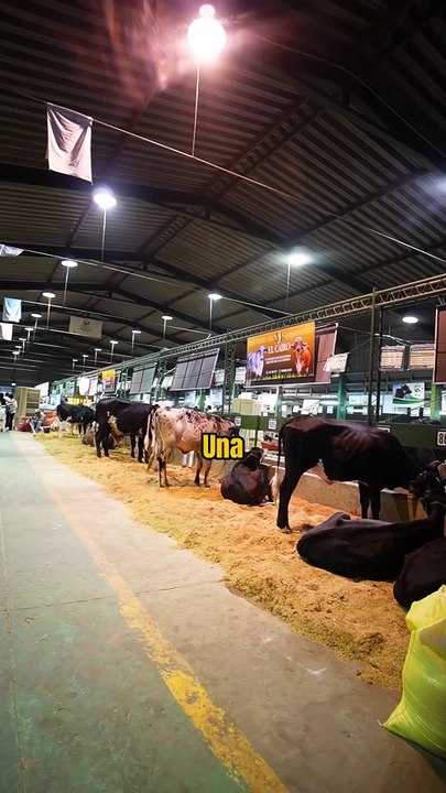 Estuvimo en el sector que más atrae de la EXPOCRUZ 2025