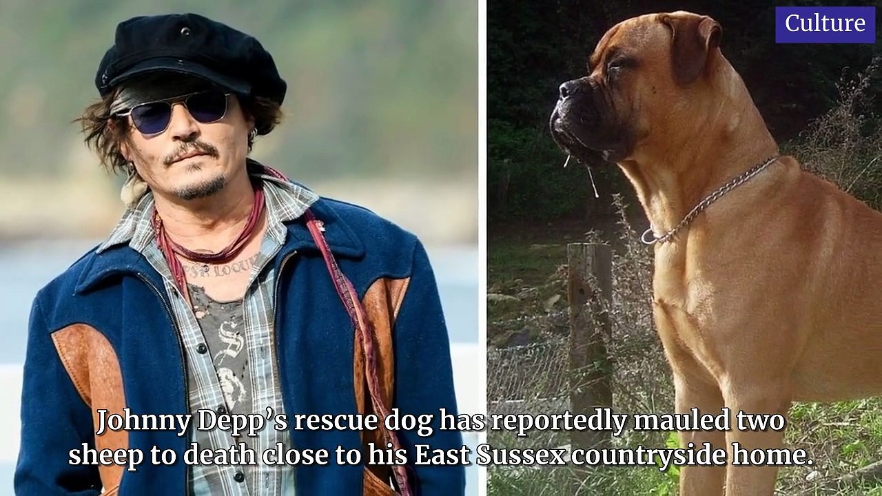 NationalWorld Celebrity Update 26 September, 2025