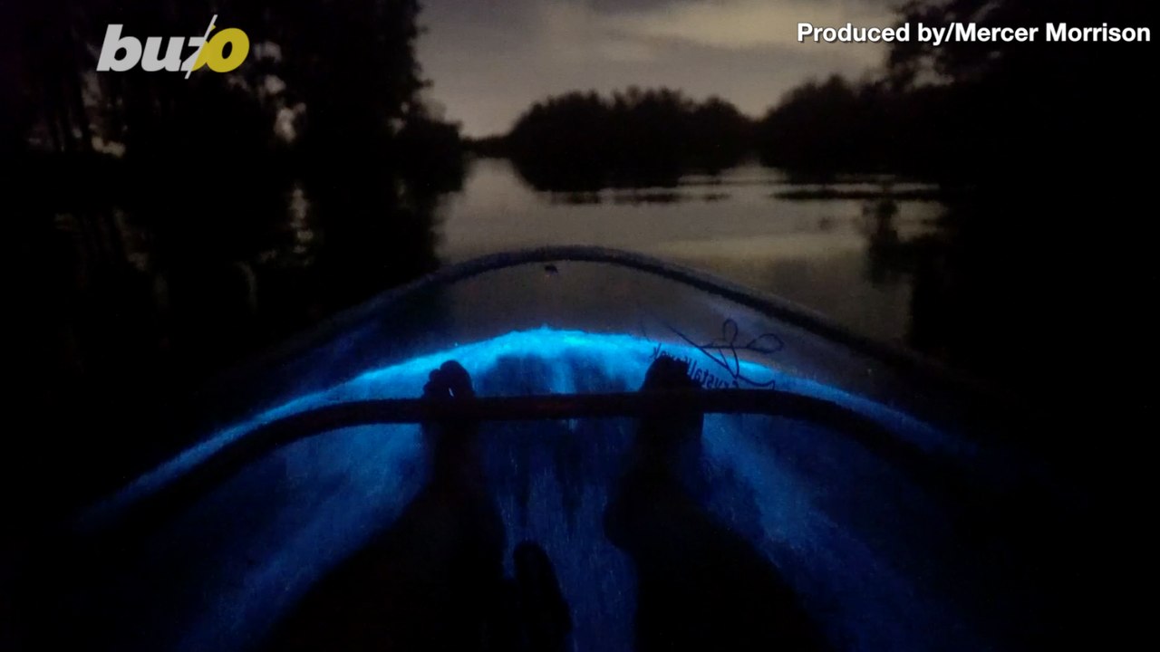 This Kayaker Took an Insane Video of Bioluminescent Plankton