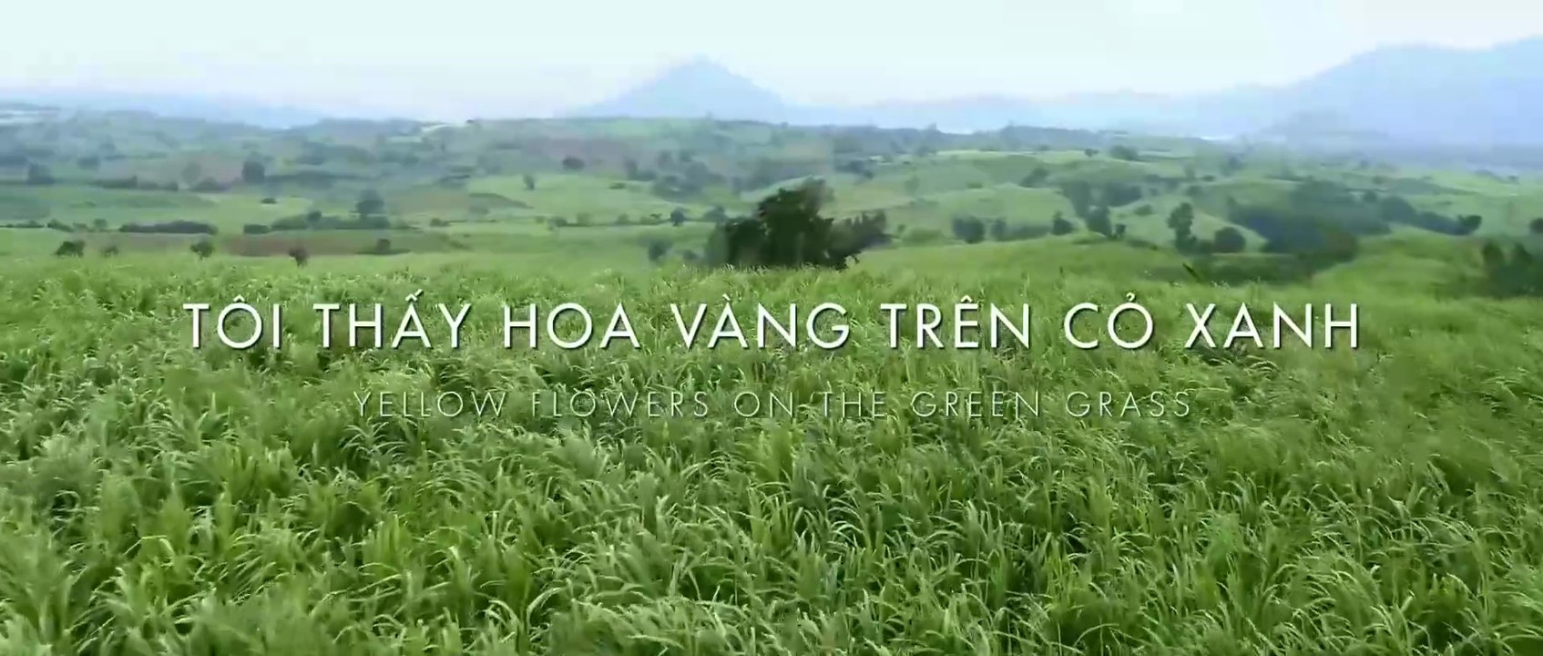 Tôi Thấy Hoa Vàng Trên Cỏ Xanh (Yellow Flowers on the Green Grass) - Phim Việt Nam | FULL