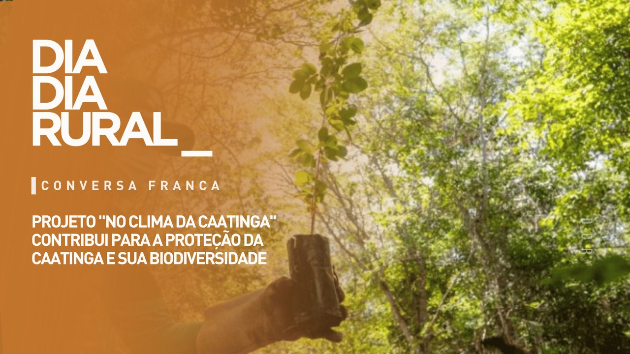 Projeto "No Clima da Caatinga" contribui para a proteção da Caatinga e sua biodiversidade