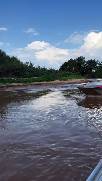 Flagra de "mãozinha" aumenta rumores de romance entre Zé Felipe e Ana Castela